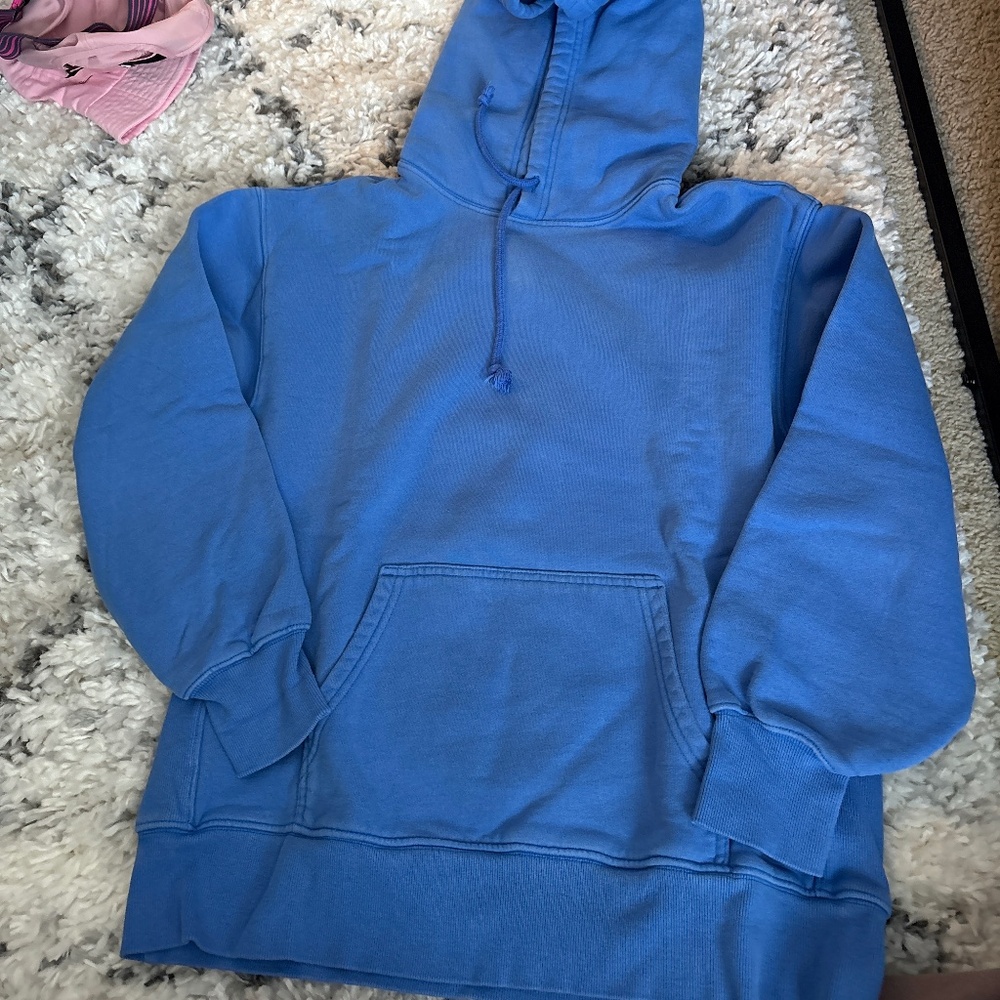 Aritzia blue hoodie